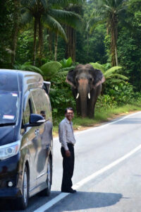 Luxury Van Suvarnabhumi to Khao Yai