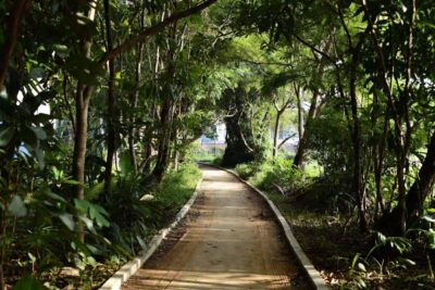 Bike track through lush green scenery in Bang Krachao, Bangkok hidden gem